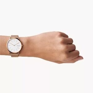 Skagen Denmark Rose Gold Mesh Women Watch